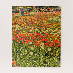 Champ de puzzle des tulipes