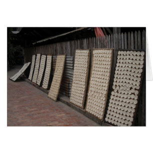 Champ de riz laotien