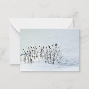 Champ neigeux - Cartes de notes