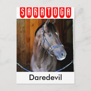 Champagne Stakes Sieger "Daredevil" Postkarte
