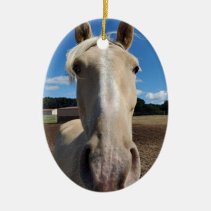 Champagne Tennessee Wanderross Ornament