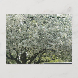 Champaign, Illinois Springtime Postkarte