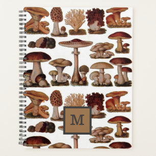 champignon botanique vintage