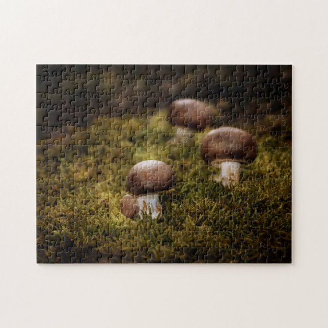 Champignons auf Moos (Horizontal)