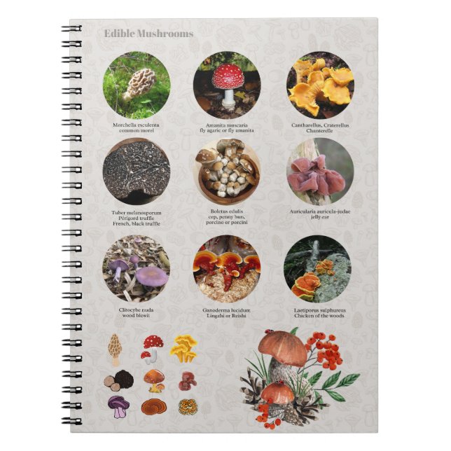 Champignons comestibles Photos Guide Journal du gr (Devant)