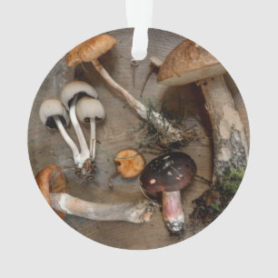 Champignons d'amour des champignons