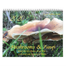 Champignons et champignons Calendrier 2020