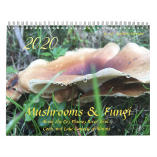 Champignons et champignons Calendrier 2020