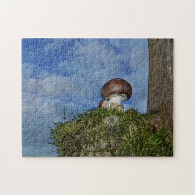 Champignons mit blauem Himmel (Horizontal)