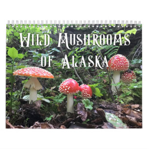 Champignons sauvages de l'Alaska - Calendrier moye