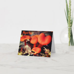 Champignons sauvages d'Orange Carte de remerciemen