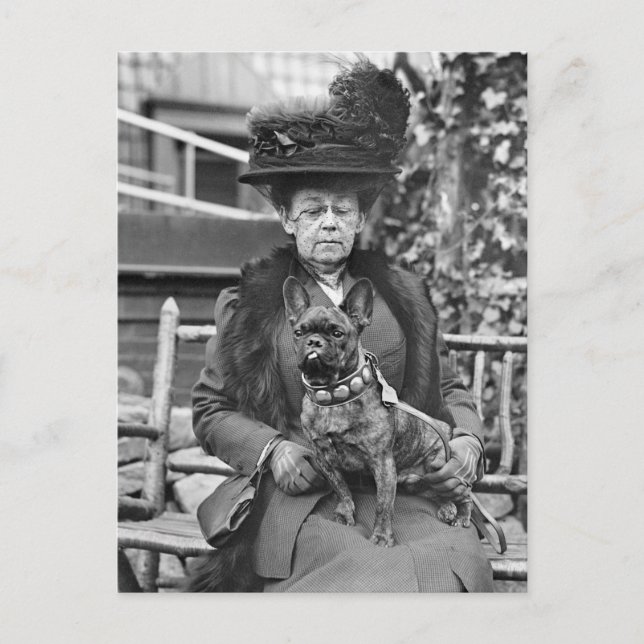 Champion French Bulldog in den 20er Jahren Postkarte (Vorderseite)