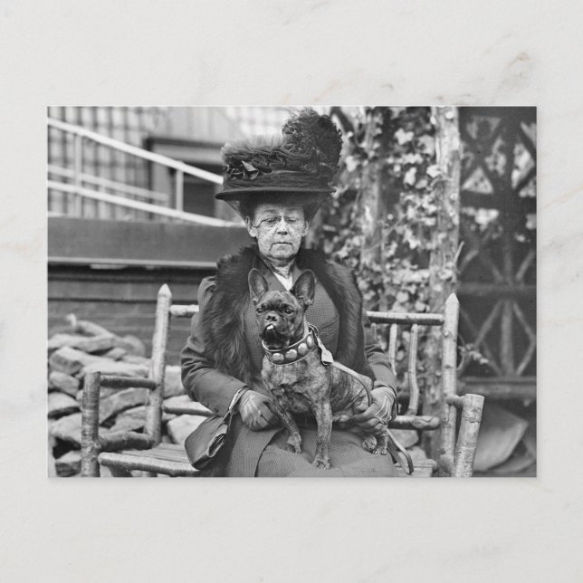 Champion French Bulldog in den 20er Jahren Postkarte (Vorderseite)