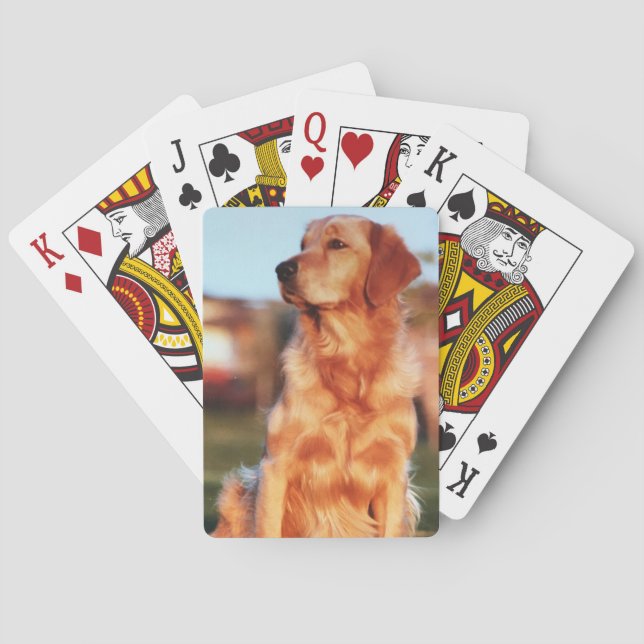Champion Golden Retriever Phantastisch Hund Spielkarten (Rückseite)