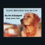Champion Son-in-Law Geburtstag Golden Retriever Postkarte<br><div class="desc">Du bist ein Champion! Wenn Ihr Schwiegersohn ein Fan von Golden Retrievers ist,  wird er diese phantastische Geburtstagskarte schätzen. "Starke,  ernstzunehmende,  kluge" sendet eine beliebte Botschaft an alle Typ.</div>