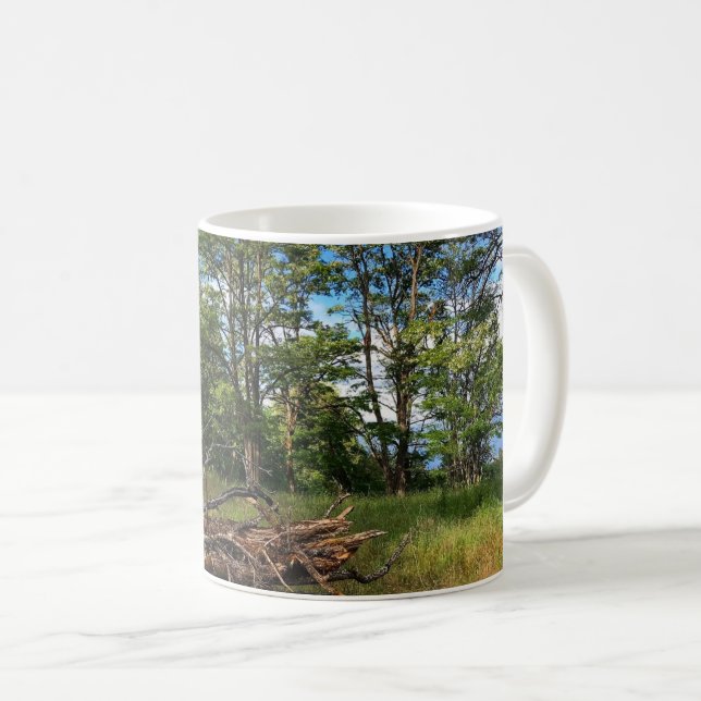 Champoeg Staat Park, Oregon Poster Magnet Schlüsse Kaffeetasse (VorderseiteRechts)
