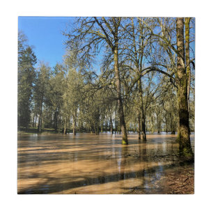 Champoeg Staat Park, Saint Paul, OR Fliese