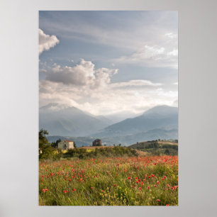 Champs de pavot en affiche de l'Italie