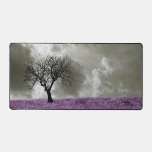 Champs violets Ciel gris Nature artistique Photo