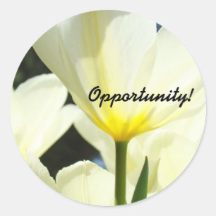 Chance! Aufkleber Chef Büro Tulpen verwalten