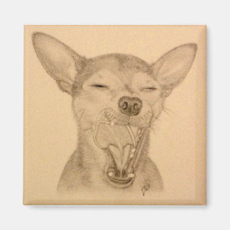 Chance Chihuahua Magnet ~ Puppy Yawn