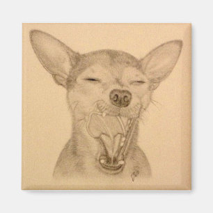 Chance das Chihuahua-Magnet ~ Welpen-Gegähne Magnet
