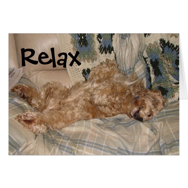 Chance Relax (Vorderseite (Horizontal))