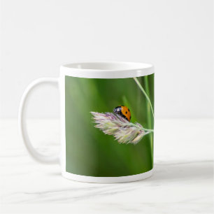 Chance tasse à café matinale !