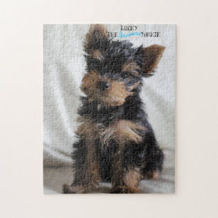 Chanceux le puzzle japonais de Yorkie 10x14 à 3