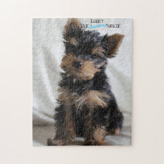 Chanceux le puzzle japonais de Yorkie 10x14 à 3