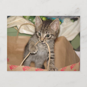 Chandler in der Fehlerpostkarte Postkarte