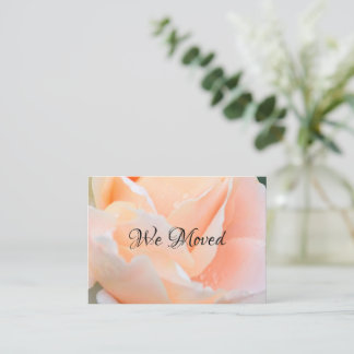 Change of Address Card – Elegant Peach Rose Visitenkarte