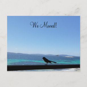 Changement de détails petite carte postale oiseau