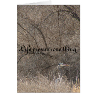 Changements de la vie