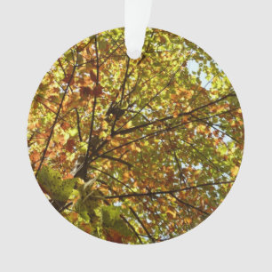 Changer la couleur verte et dorée de l'érable