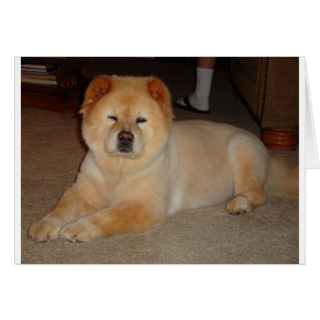 Changer les éléments (Devant horizontal)