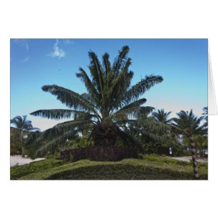 Chankanaab, Cozumel, Mexiko