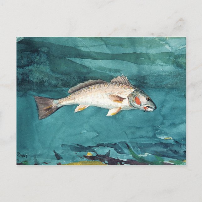 Channel Bass American Painting von Homer Postkarte (Vorderseite)