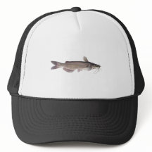 Channel Catfish - Süßwasserfischerei