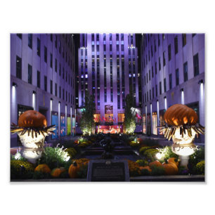 Channel Gardens Fifth Avenue New York City NYC Fotodruck