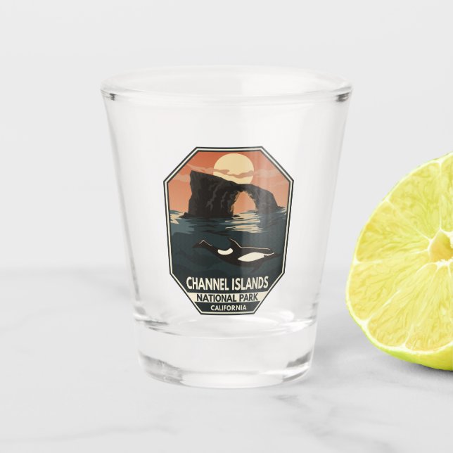 Channel Islands National Park Dolphin Retro Emblem Schnapsglas (Vorderseite)