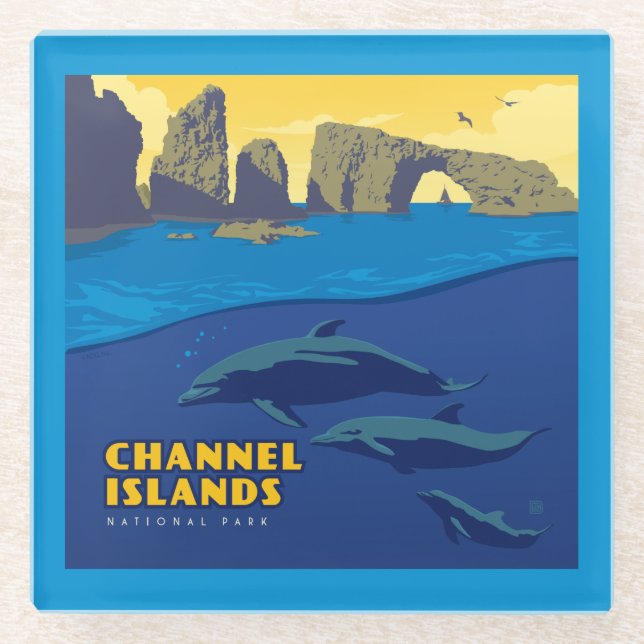 Channel Islands National Park Dolphins Glasuntersetzer (Vorderseite)