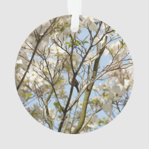 Chanson dans le Dogwood