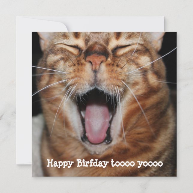 Chant Bengale Chat "Joyeux anniversaire.." Carte d (Devant)