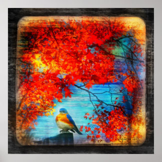 Chant Bluebirds, affiche