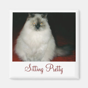 Chantal le chat reposant le joli aimant