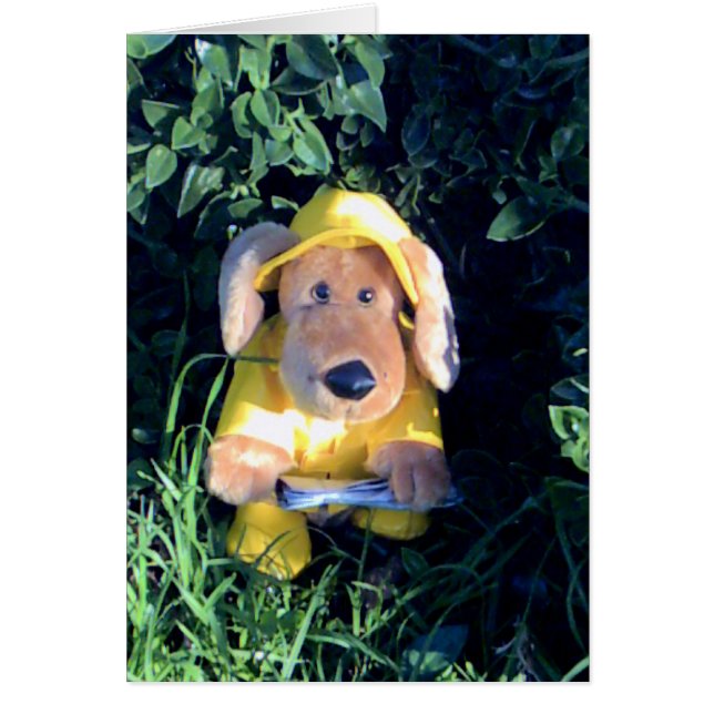 Chanter sous la pluie (Devant)