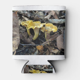 Chanterelle, Cantharellus cibarius Dosenkühler