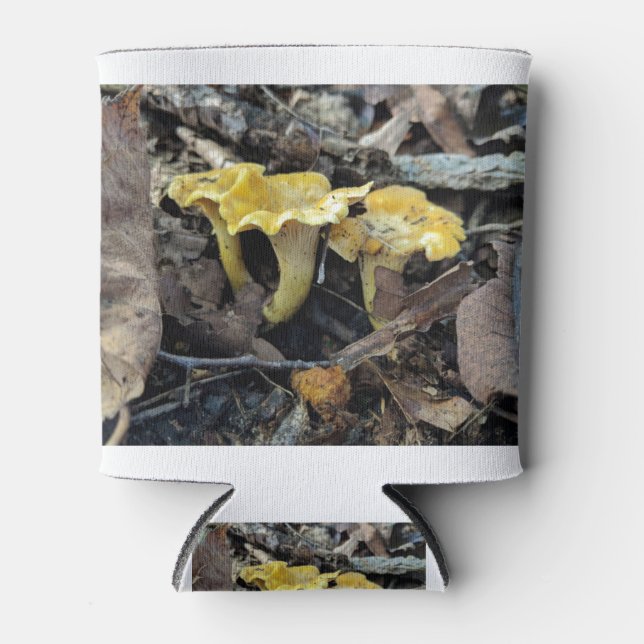 Chanterelle, Cantharellus cibarius Dosenkühler (Vorderseite)