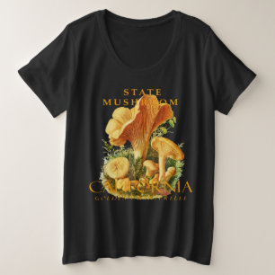 Chanterelle dorée de la girolle du territoire de C